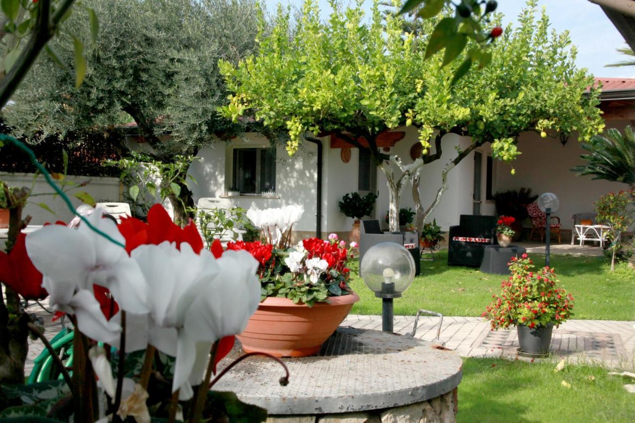 Villa Cecilia Bed And Breakfast Cellole Экстерьер фото