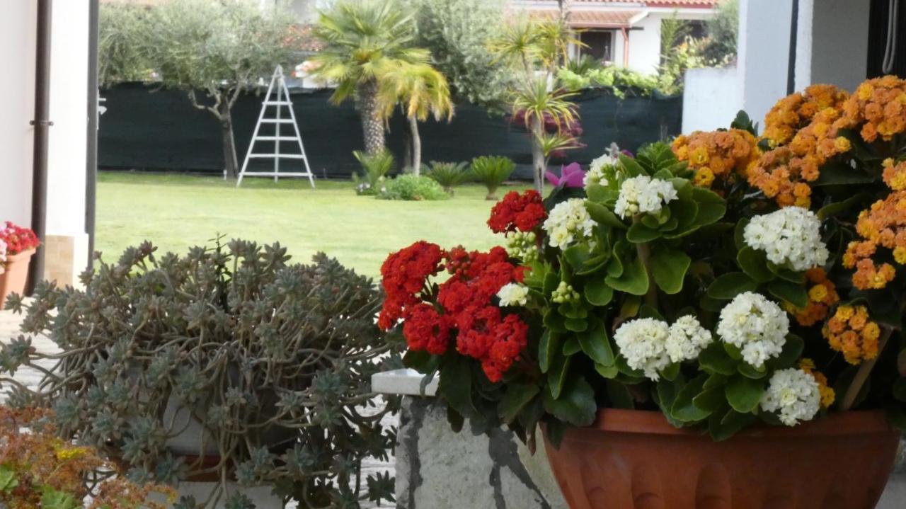 Villa Cecilia Bed And Breakfast Cellole Экстерьер фото