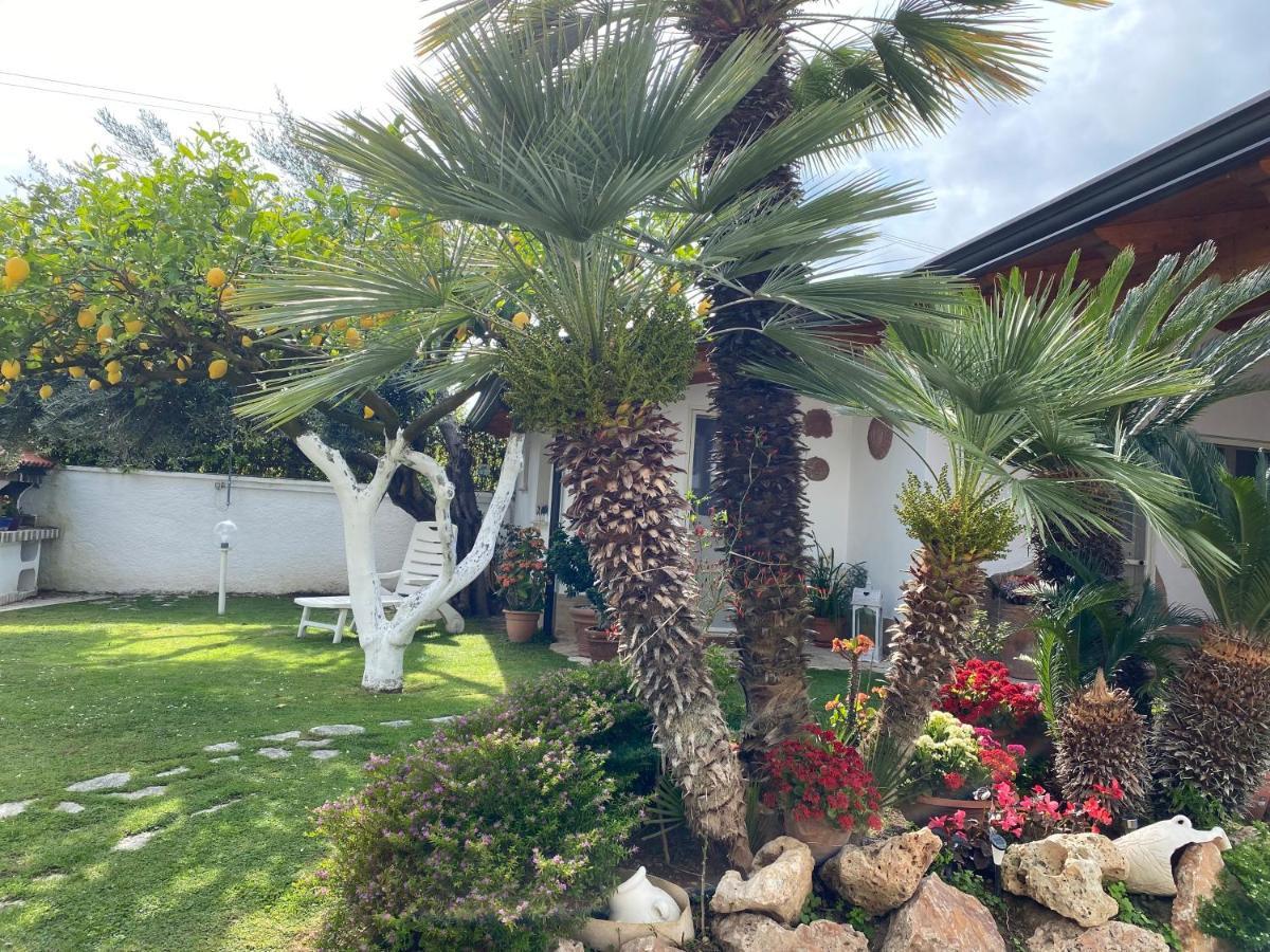 Villa Cecilia Bed And Breakfast Cellole Экстерьер фото