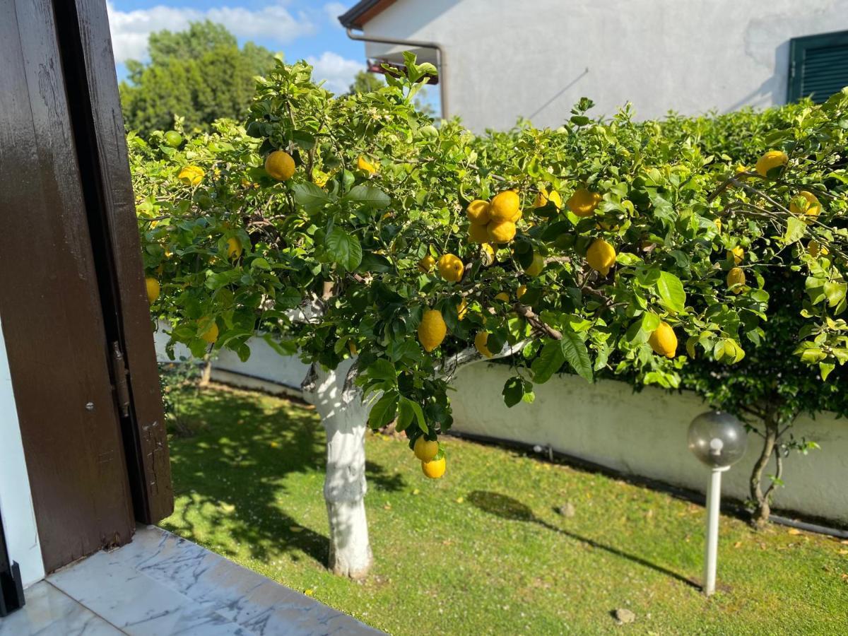 Villa Cecilia Bed And Breakfast Cellole Экстерьер фото